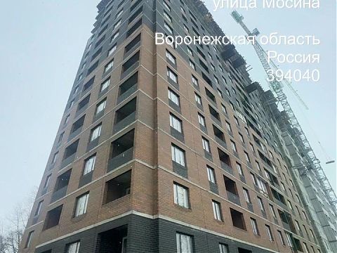 Февраль 2026 - изображение 1132